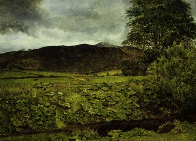 Wallow Crag, Cumberland da George Stanfield Walters